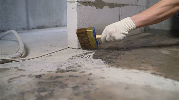 Crawl space vapor barrier installation in Lawrence, MI